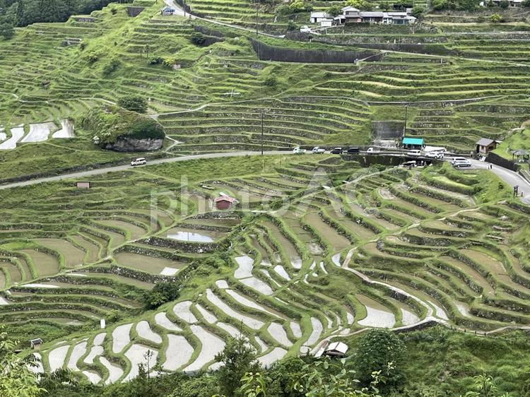田植えの丸山千枚田　棚田 棚田百選,水田,水鏡の写真素材