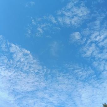 おそい秋雲の季節が来た おそい秋雲の季節が来たの写真