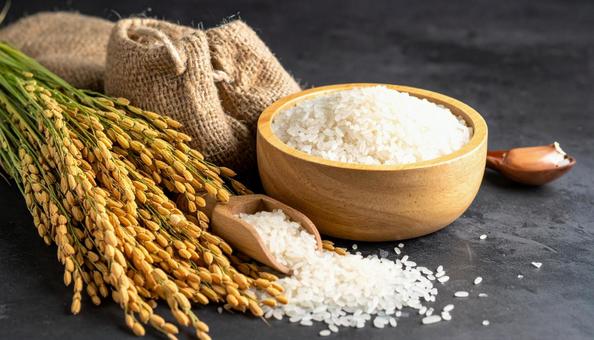 お米・白米を木のスプーンですくうの写真