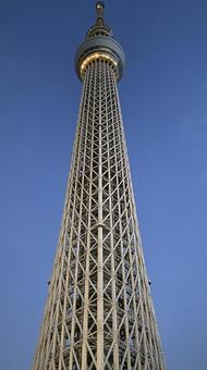 午前5時のスカイツリー 午前5時のスカイツリー スカイツリー,東京,東京スカイツリーの写真素材