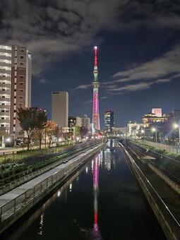 スカイツリー スカイツリー,ピンク,夜景の写真素材