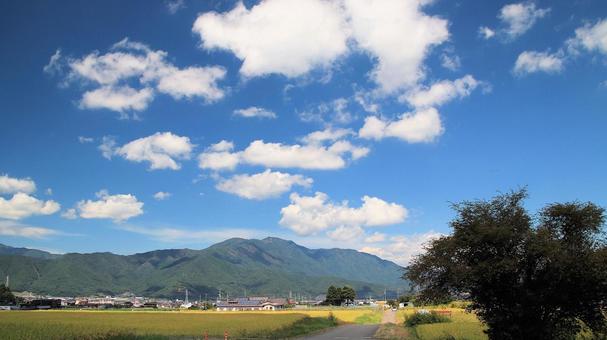 初秋の富士吉田市の田園風景 初秋の富士吉田市の田園風景 稲,秋,田んぼの写真素材