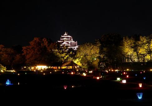 ライトアップした岡山後楽園と岡山城天守閣 ライトアップした岡山後楽園と岡山城天守閣 岡山後楽園,岡山城,春の幻想庭園の写真素材