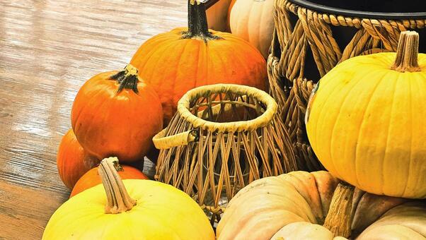 かぼちゃ かぼちゃ,ハロウィン,収穫祭の写真素材