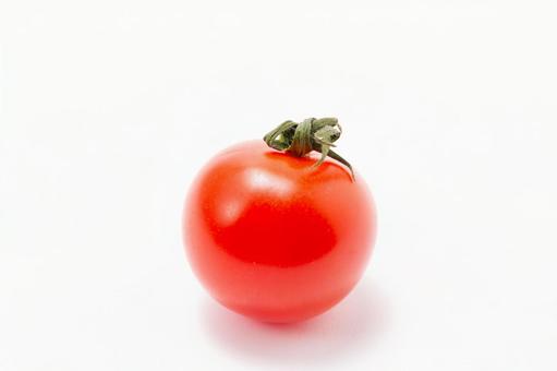 ミニトマト ミニトマトの写真