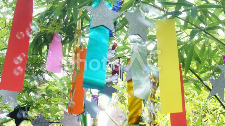 七夕のイメージ-3 七夕,七夕祭り,笹の写真素材