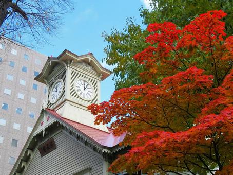 札幌市時計台  紅葉 時計台,建物,木造の写真素材