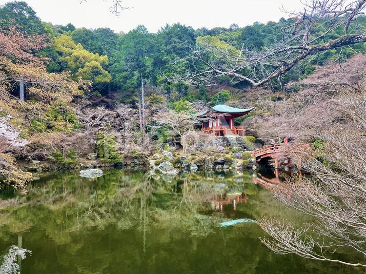 醍醐寺の春景色、弁天堂と池 醍醐寺,弁天堂,池の写真素材