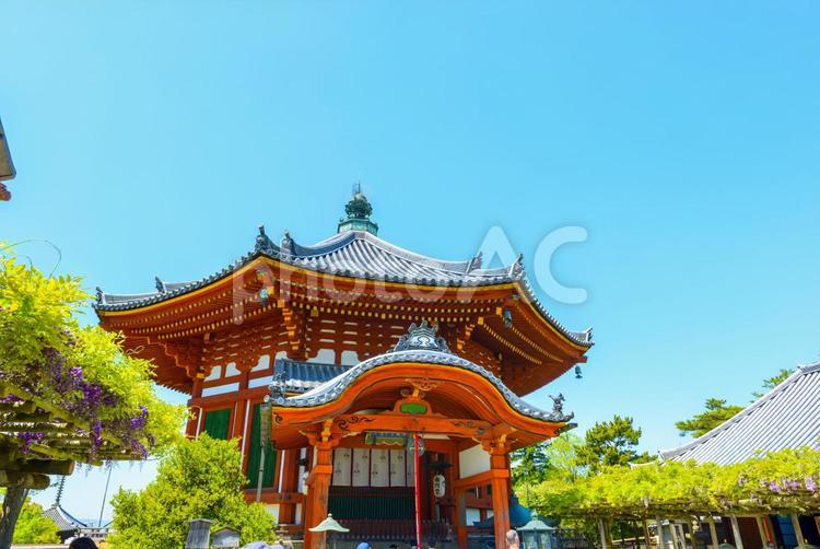 興福寺の南円堂の風景 南円堂,なんえんどう,奈良公園の写真素材