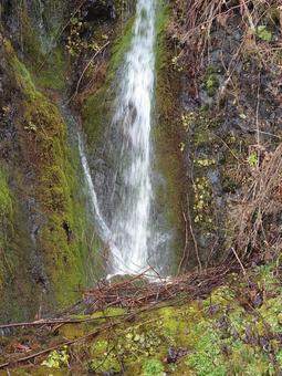 フンベの滝 自然,風景,木の写真素材
