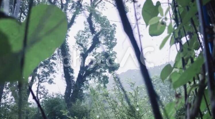 雨降りを眺める - No: 3771894｜写真素材なら「写真AC」無料（フリー）ダウンロードOK