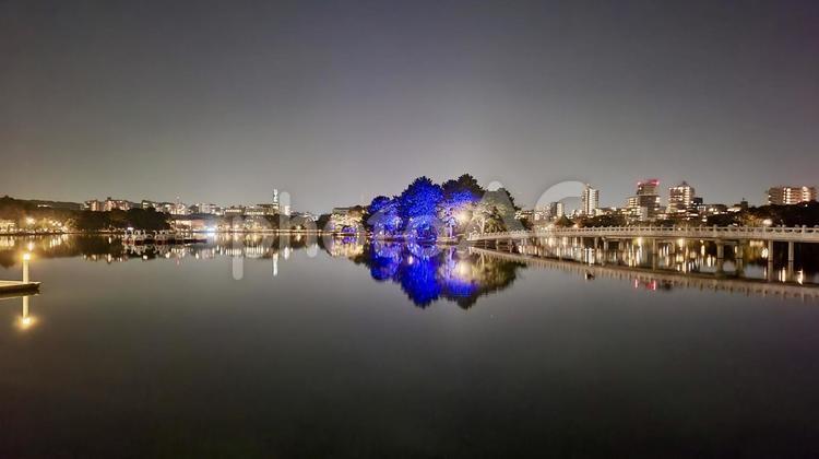 大濠公園の夜景 夜景,福岡,大濠公園の写真素材