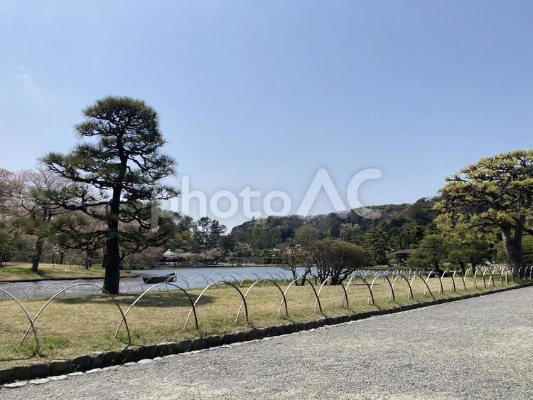春の公園の池のある風景 風景,青空,晴れの写真素材