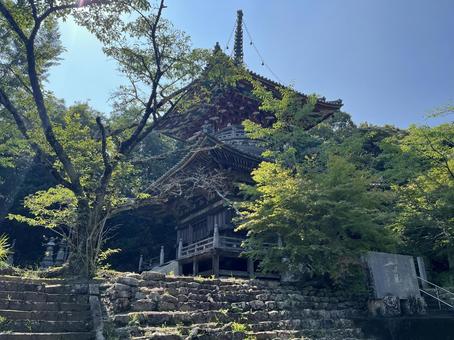 多宝塔 多宝塔 熊谷寺,徳島県,阿波市の写真素材