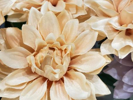 美しい花の背景、コピースペース 花,コピースペース,美しいの写真素材