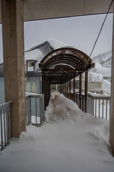 天神平駅周辺の景色 天神平駅周辺の景色 天神平駅,谷川岳,スキー場の写真素材