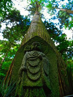 森の地蔵 森の地蔵の写真