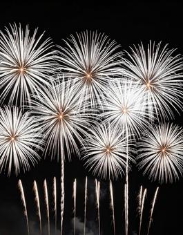 闇を彩る花火 闇を彩る花火の写真