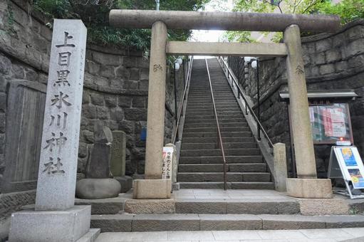 上目黒　氷川神社 上目黒,氷川神社,上目黒氷川神社の写真素材
