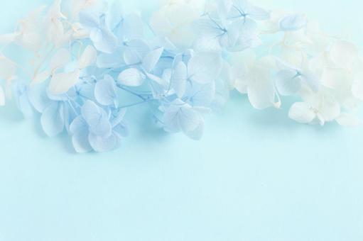 青い花の背景 花,背景,背景素材の写真素材