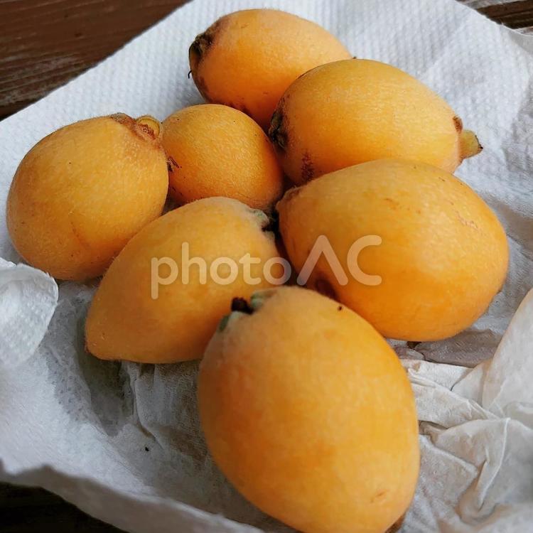 びわ　枇杷　実 びわ,枇杷,ビワの写真素材