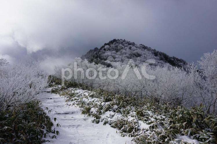 雪の石鎚山　夜明かし峠付近 石鎚山,山,ロープウェイの写真素材