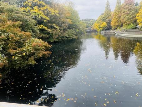 秋の風景 秋の風景の写真