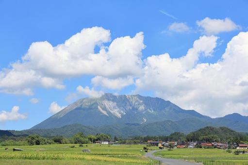 夏の貝田集落 5 夏の貝田集落 5 大山,貝田集落,棚田の写真素材