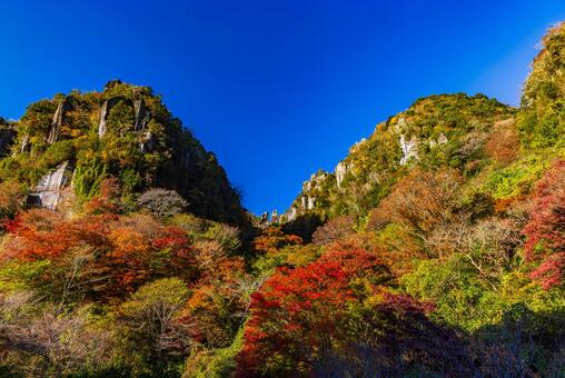大分県耶馬溪　紅葉に染まる渓谷 耶馬溪,紅葉,山の写真素材