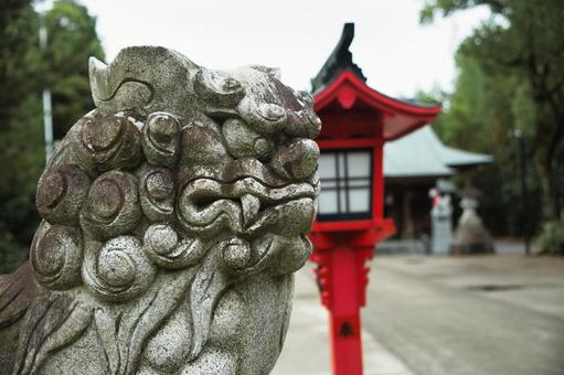 神社の狛犬 神社の狛犬 web,素材,バックグラウンドの写真素材
