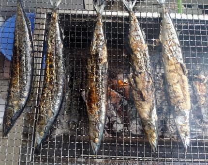 秋の味覚 秋の味覚,サンマ,焼き魚の写真素材