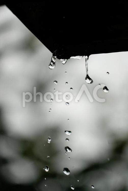 滴る雨と静寂の時間 雨滴,雨のしずく,雨の写真素材