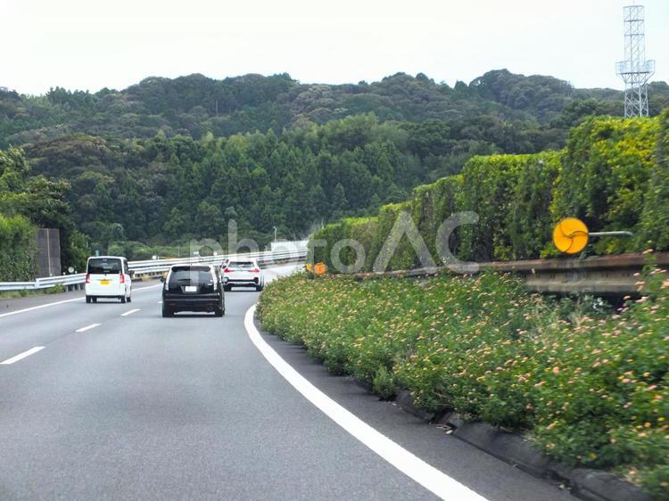 ピンクのランタナの花が咲きこぼれる高速 車,ドライブ,軽自動車の写真素材