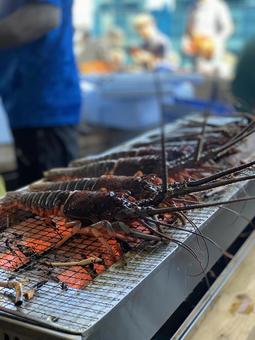 伊勢海老 伊勢海老 伊勢海老,伊勢エビ,浜焼きの写真素材