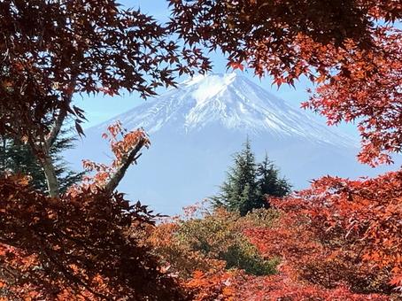 紅葉と富士 紅葉と富士 富士山,秋,富士の写真素材