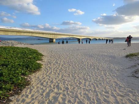 沖縄の風景 古宇利大橋と古宇利ビーチ2 沖縄の風景 古宇利大橋と古宇利ビーチ2 古宇利大橋,古宇利ビーチ,沖縄の写真素材