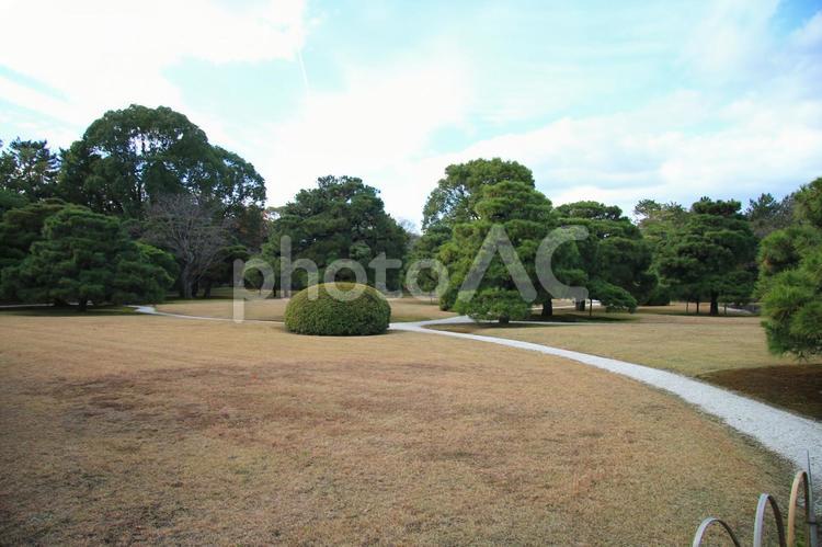 世界遺産・元離宮二条城 京都,二条城,城の写真素材