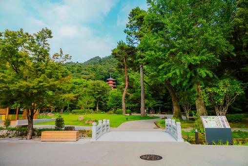 【岐阜】岐阜公園 2025 【岐阜】岐阜公園 2025の写真