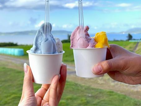 牧場前で食べたジェラート２ ジェラート,アイス,アイスクリームの写真素材