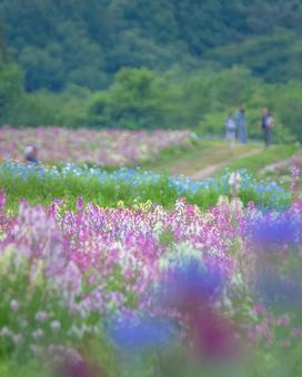 栃木県那須町 那須フラワーワールド 栃木県那須町 那須フラワーワールドの写真