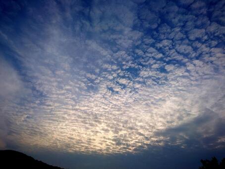 日差しと巻積雲 日差しと巻積雲の写真