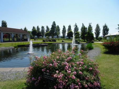 植物園の写真
