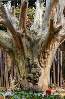 大衡八幡神社⒁ 神社,大衡八幡神社,神社仏閣の写真素材