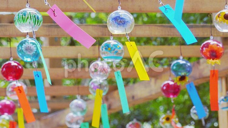 たくさんのきれいな風鈴（２） 風鈴,夏,グリーンの写真素材
