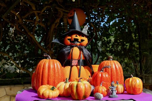大船フラワーセンターのハロウィンの飾り ハロウィン,飾り付け,大船フラワーセンターの写真素材
