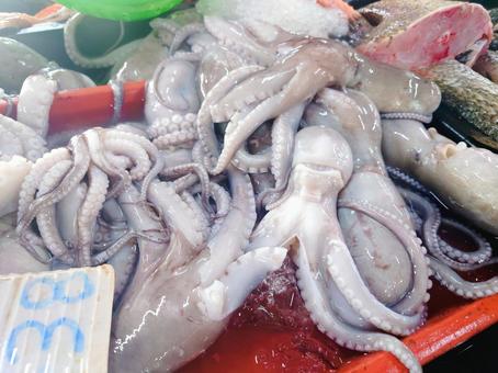 新鮮なタコ タコ,魚介類,シーフードの写真素材