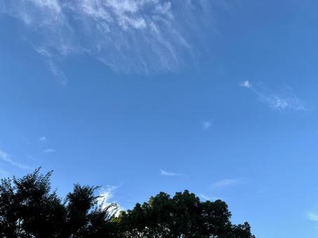 晴れた朝の空の風景 晴れた朝の空の風景の写真