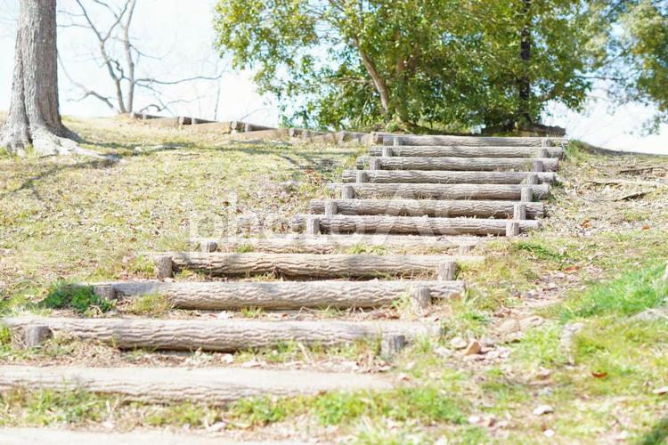 丸太の階段 自然,丸太,階段の写真素材
