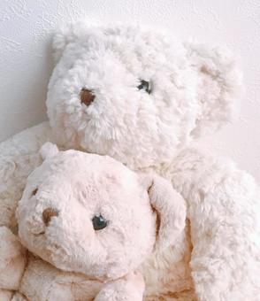 ぬいぐるみ ぬいぐるみ ぬいぐるみ,くま,熊の写真素材