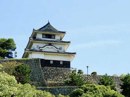 大手前から見上げる丸亀城天守 大手前から見上げる丸亀城天守 丸亀城,丸亀市,城郭の写真素材